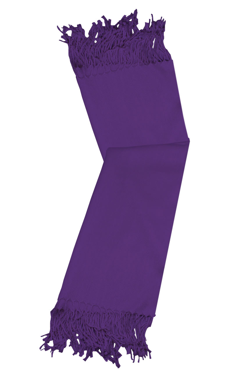 Aubergine cashmere pashmina and silk-blend scarf in single-ply twill weave with 3 inches tassel.