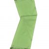 Pastel Green cashmere pashmina and silk-blend scarf in single-ply twill weave with 3 inches tassel.